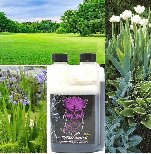 Lawn turf feed - &,